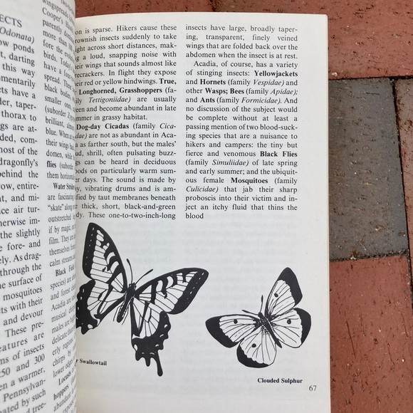 2 Acadia National Park Guides Downeast Carriage Road Maine Nature Outdoor - Picture 6 of 17